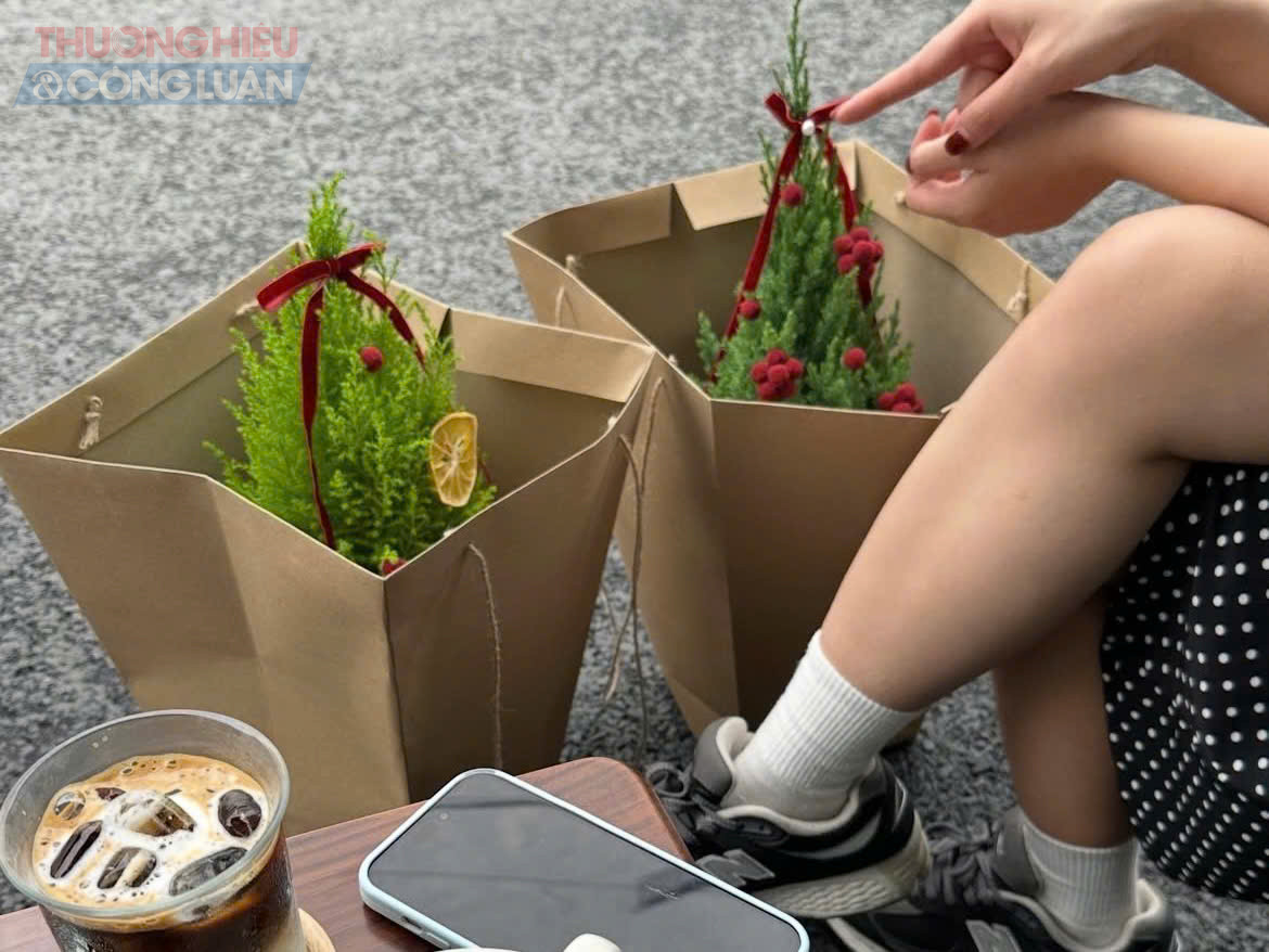 Từ các căn hộ chung cư, studio chụp ảnh, quán cà phê đến văn phòng công ty đều chuộng phong cách “Noel xanh”, kết hợp cây thật với phụ kiện trang trí tối giản.