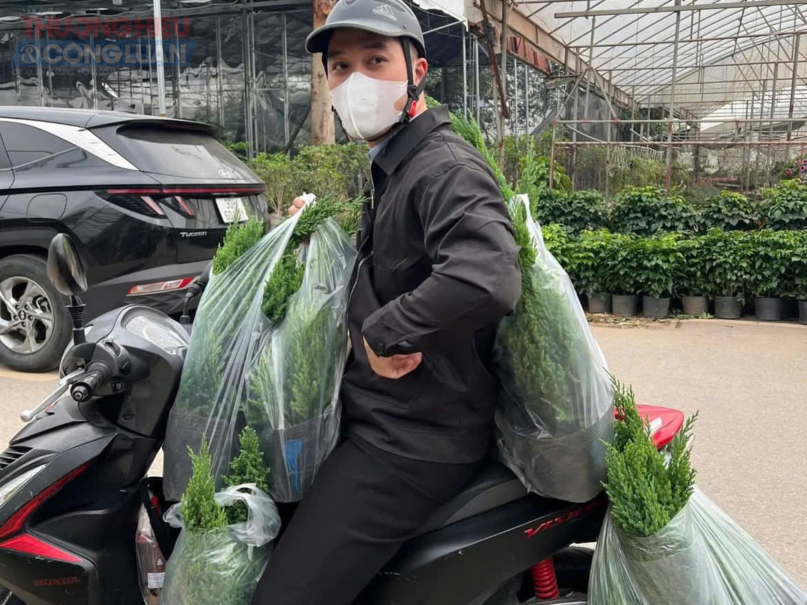 Nhiều cửa hàng cho biết lượng đơn đặt mua cây tươi tăng vọt sau khi các bộ ảnh trang trí Giáng sinh bằng thông thật lan truyền trên mạng xã hội. Hiệu ứng này khiến nhu cầu bùng nổ chỉ trong vài ngày đầu tháng 12.