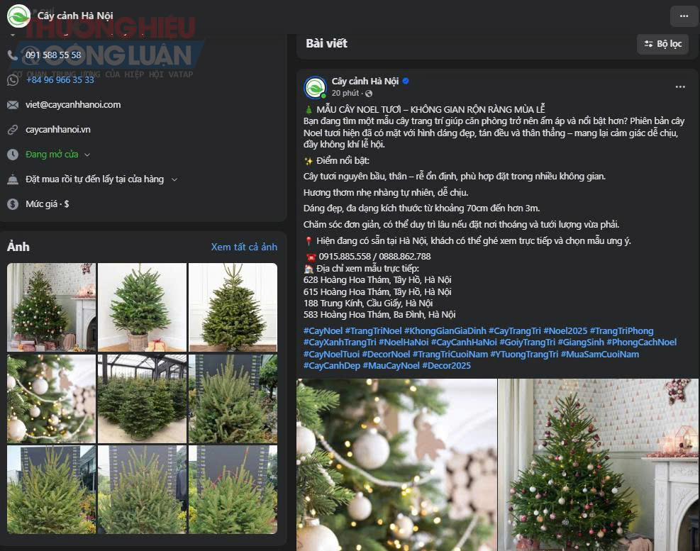 Bên cạnh đó, trên nhiều nhóm Facebook, sàn thương mại điện tử và các trang bán hàng cá nhân, người bán đăng tải sản phẩm rầm rộ, kèm hình ảnh thực tế, video quay cận cảnh từng cây, bảng giá niêm yết và dịch vụ giao tận nơi. Nhờ cách bán hàng trực tuyến ngày càng chuyên nghiệp, người mua có thể dễ dàng xem mẫu, so sánh giá và đặt hàng chỉ với vài thao tác, không cần đến chợ hay cửa hàng như trước.