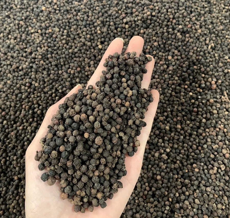 Trong khi thủy sản đang loay hoay tìm đường đi, ngành hồ tiêu và cây gia vị lại nổi lên như một điểm sáng nhờ tận dụng tốt cơ chế PPP Trong khi thủy sản đang loay hoay tìm đường đi, ngành hồ tiêu và cây gia vị lại nổi lên như một điểm sáng nhờ tận dụng tốt cơ chế PPP