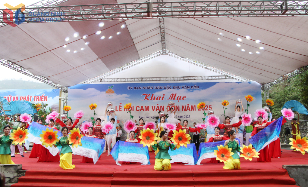 Quảng Ninh: Hấp dẫn lễ hội cam Vân Đồn năm 2025