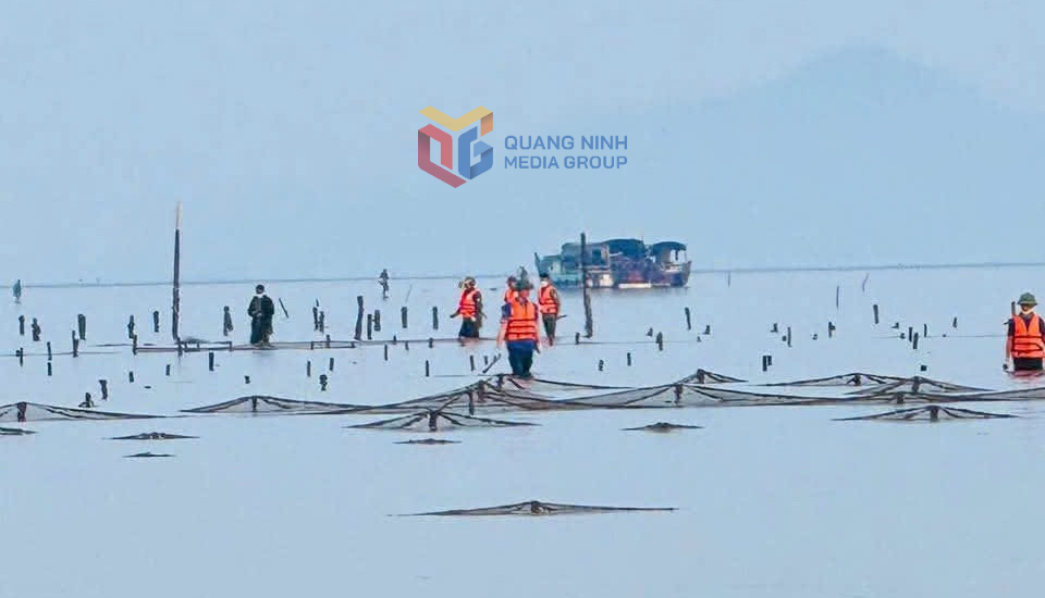 Hàng chục ha nuôi trồng thuỷ sản trái phép bị tháo dỡ trong ngày 9/12. Hàng chục ha nuôi trồng thuỷ sản trái phép bị tháo dỡ trong ngày 9/12.