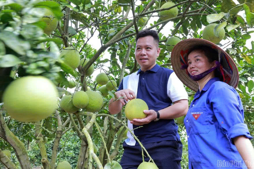 Phú Thọ hướng tới nền nông nghiệp sinh thái, tuần hoàn và phát triển bền vững