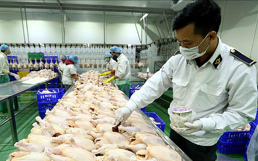 Hà Nội lập đoàn kiểm tra liên ngành giám sát quản lý giết mổ tại 126 xã, phường