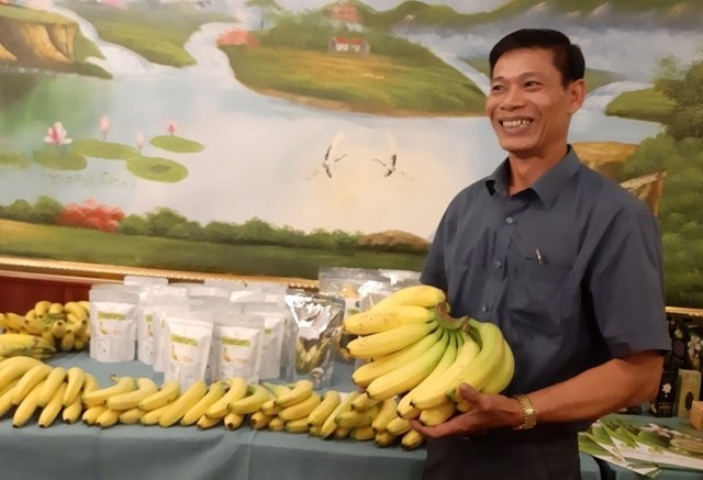 Ông Lý Minh Hùng, Giám đốc HTX giới thiệu sản phẩm chuối hữu cơ và chuối sấy. Ảnh TL Ông Lý Minh Hùng, Giám đốc HTX giới thiệu sản phẩm chuối hữu cơ và chuối sấy. Ảnh TL
