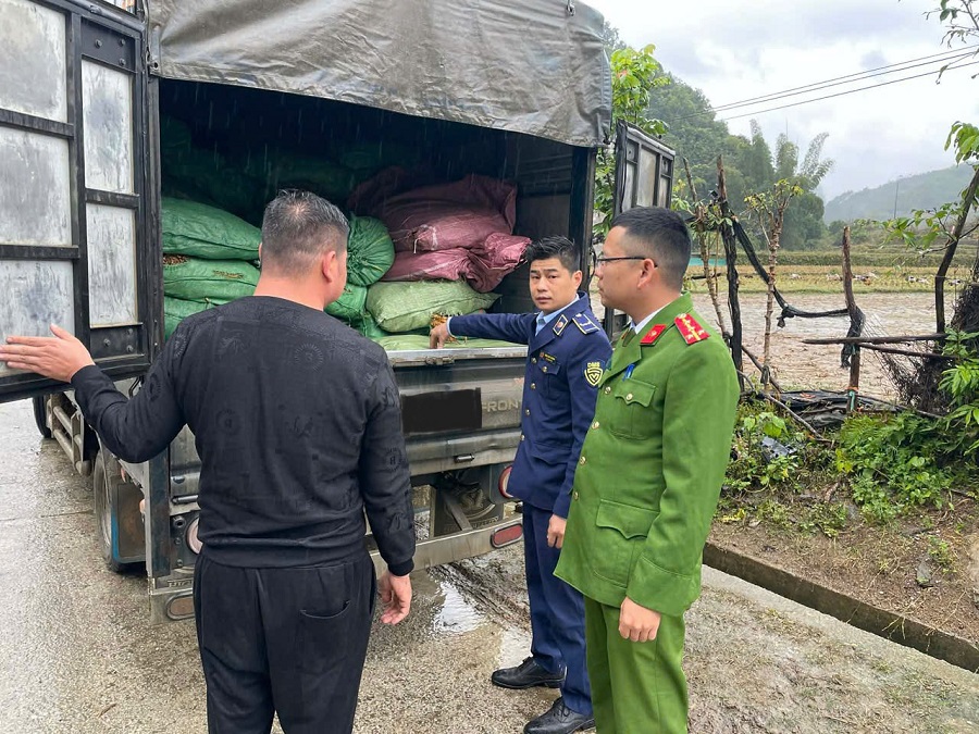 Cao Bằng ra quân chống buôn lậu, bắt giữ xe tải chở gần 2 tấn lá thuốc lá khô không rõ nguồn gốc