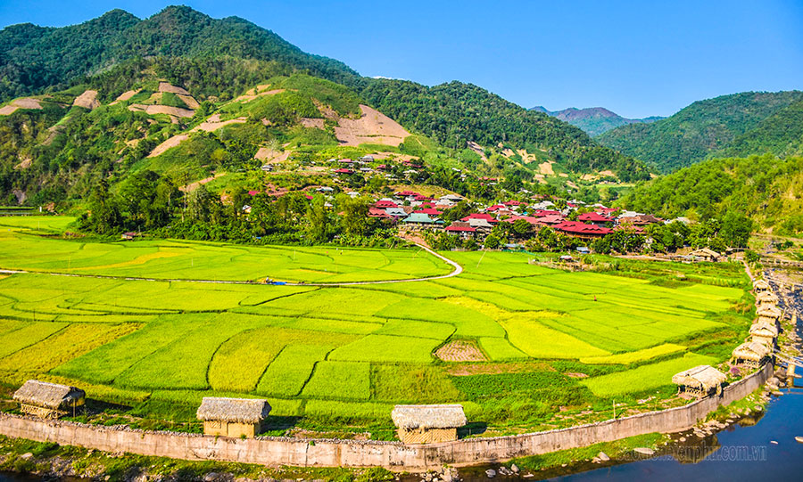 Kinh tế tập thể - động lực thúc đẩy phát triển kinh tế địa phương