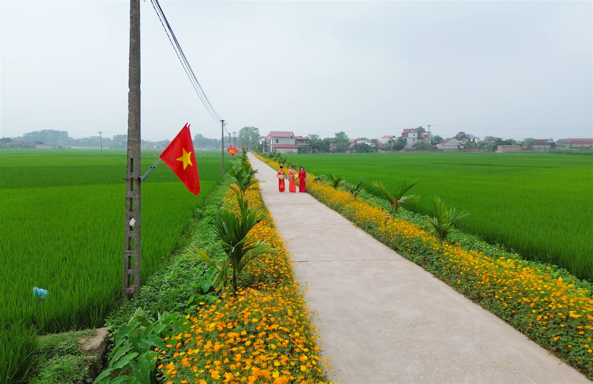 Thái Nguyên: Biểu dương, phê bình đơn vị, địa phương về tiến độ giải ngân vốn thuộc chương trình mục tiêu quốc gia
