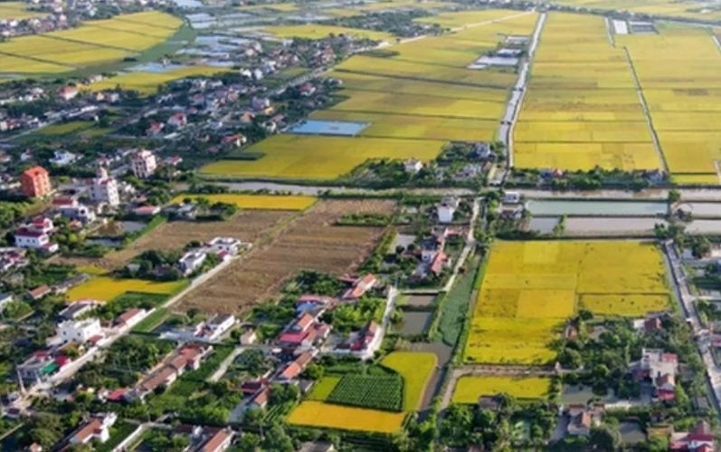 Mức thu tiền sử dụng đất khi chuyển đất nông nghiệp sang đất ở từ 1/1/2026