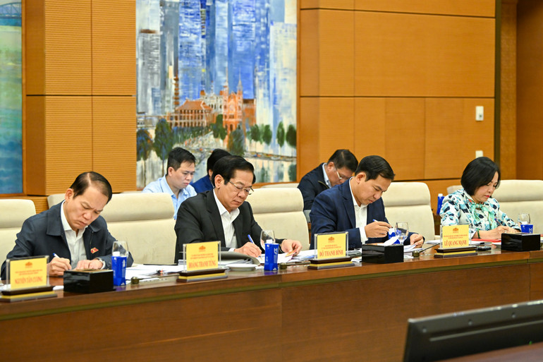 C&aacute;c đại biểu dự phi&ecirc;n họp. (Ảnh: DUY LINH)