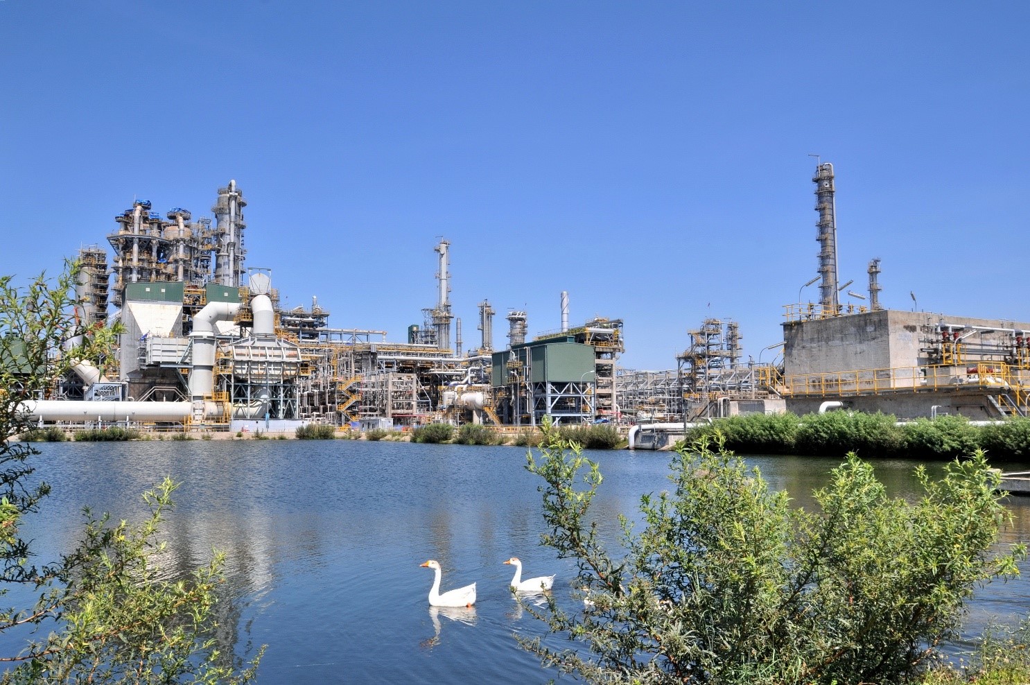 Năm 2025, mặc dù gặp rất nhiều khó khăn nhưng BSR đã có hoàn thành xuất sắc nhiệm vụ sản xuất kinh doanh Năm 2025, mặc dù gặp rất nhiều khó khăn nhưng BSR đã có hoàn thành xuất sắc nhiệm vụ sản xuất kinh doanh