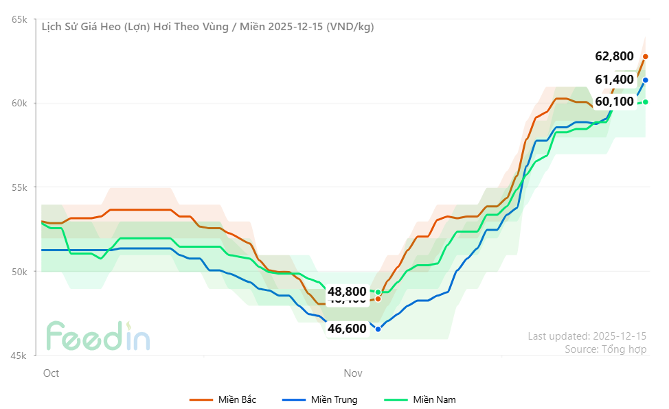 Diễn biến giá heo hơi thời gian gần đây (Ảnh: Feedin) Diễn biến giá heo hơi thời gian gần đây (Ảnh: Feedin)