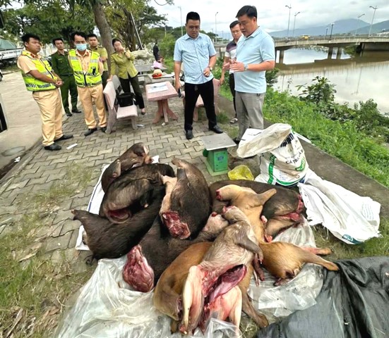 Phát hiện xe khách chạy tuyến Lao Bảo - Đà Nẵng chở động vật nguy cấp, quý hiếm