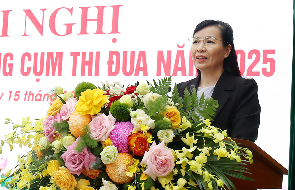 Đồng ch&iacute; Nguyễn Thị H&agrave; ph&aacute;t biểu tại hội nghị.