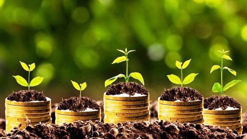 Điểm danh 5 doanh nghiệp chốt quyền trả cổ tức bằng tiền cuối năm 2025, cao nhất 30%