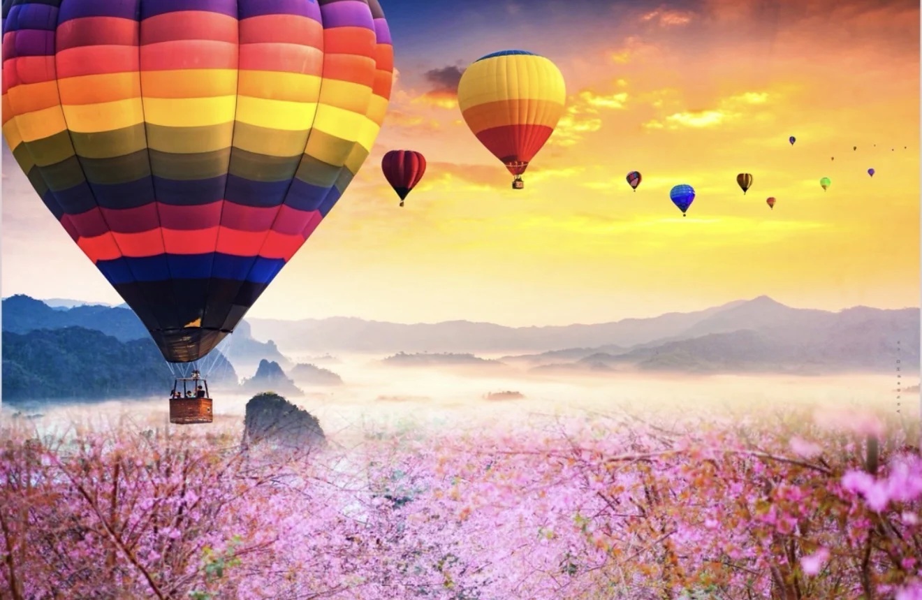 Quảng Ngãi tổ chức chuỗi hoạt động “Chào năm mới 2026”