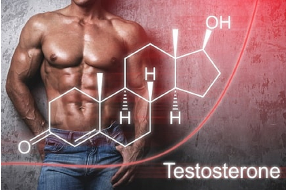 Giảm testosterone có thể khiến nam giới suy giảm số lượng tinh trùng Giảm testosterone có thể khiến nam giới suy giảm số lượng tinh trùng