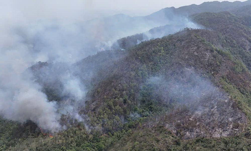 Bắc Ninh: Nâng cao hiệu lực, hiệu quả quản lý nhà nước về phòng cháy, chữa cháy rừng