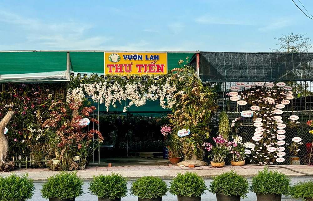 Đồng Tháp: 68 đơn vị tham gia Hội thi trang trí Cổng hoa - Đường hoa - Vườn hoa đẹp