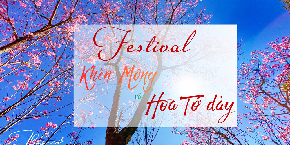 Mù Cang Chải tổ chức Festival Khèn Mông, Lễ hội Hoa Tớ Dày chào Xuân 2026