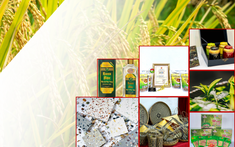 Lào Cai công nhận 15 sản phẩm công nghiệp nông thôn tiêu biểu năm 2025