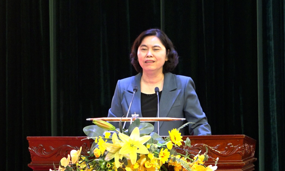 Đồng ch&iacute; Trần Thị Hằng ph&aacute;t biểu chỉ đạo tại kỳ họp.