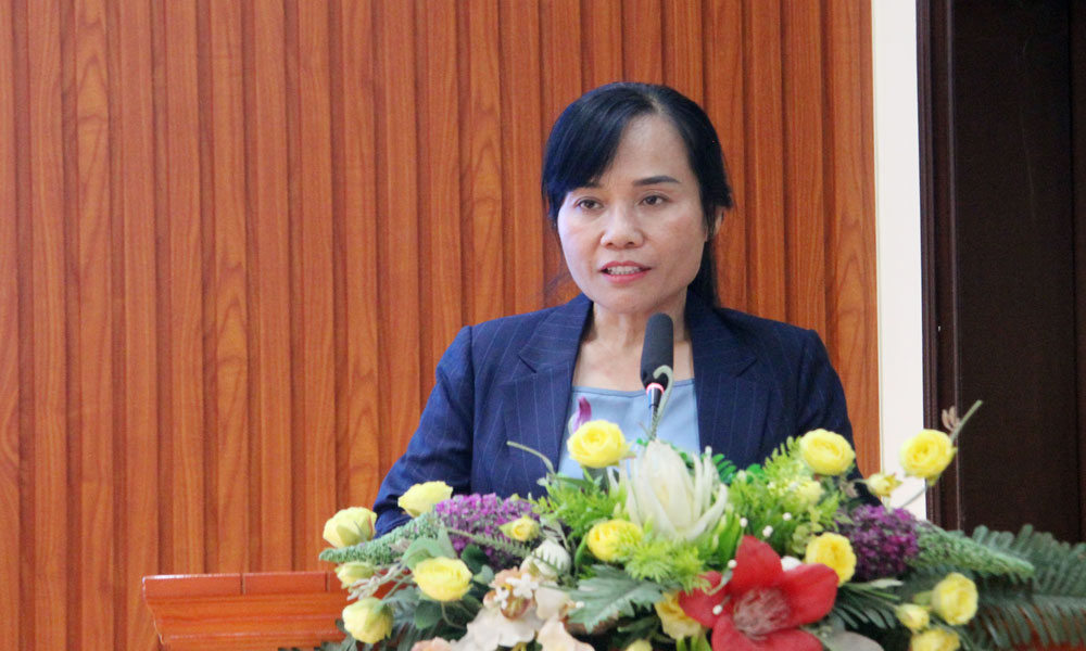 Đồng ch&iacute; T&ocirc; Thị Mai Hoa, Gi&aacute;m đốc Sở Y tế ph&aacute;t biểu tại hội nghị.