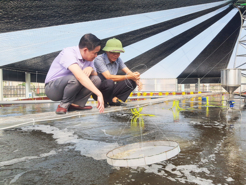 C&ocirc;ng nghệ nu&ocirc;i t&ocirc;m trong nh&agrave; bạt cải tiến v&agrave; nu&ocirc;i theo 3 giai đoạn tại HTX Nu&ocirc;i t&ocirc;m c&ocirc;ng nghệ cao Cẩm Phả.