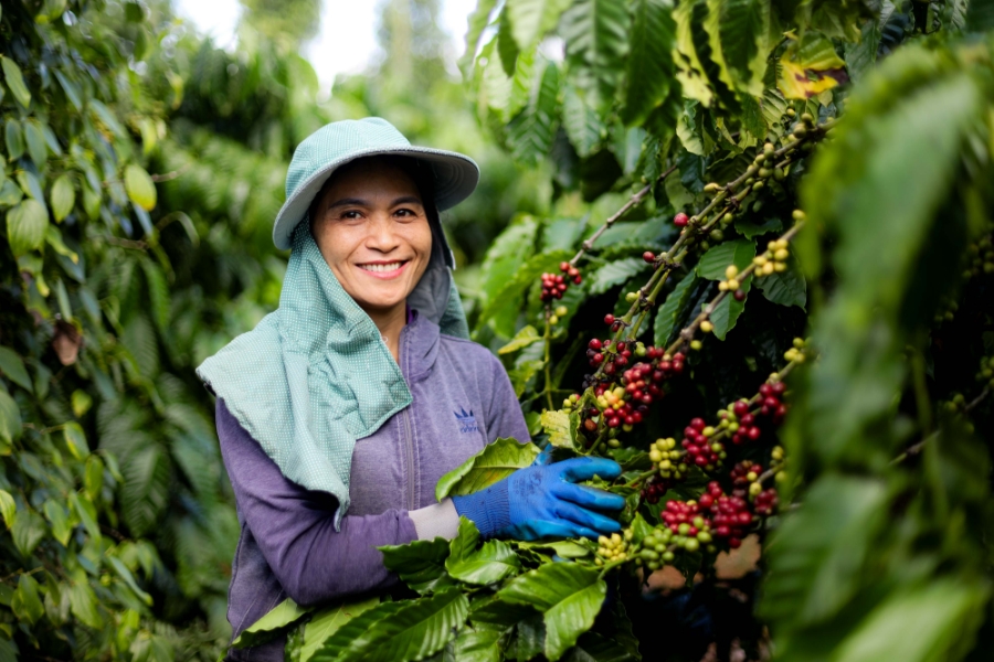 Kinh tế tuần hoàn – Trụ cột thúc đẩy chuyển đổi xanh tại Việt Nam