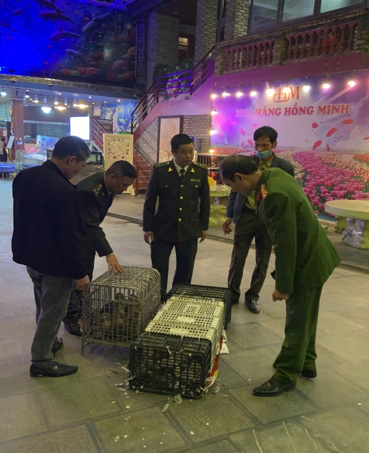 Quảng Ninh: Tăng cường tuyên truyền, kiểm tra, xử lý vi phạm về bảo vệ động vật hoang dã