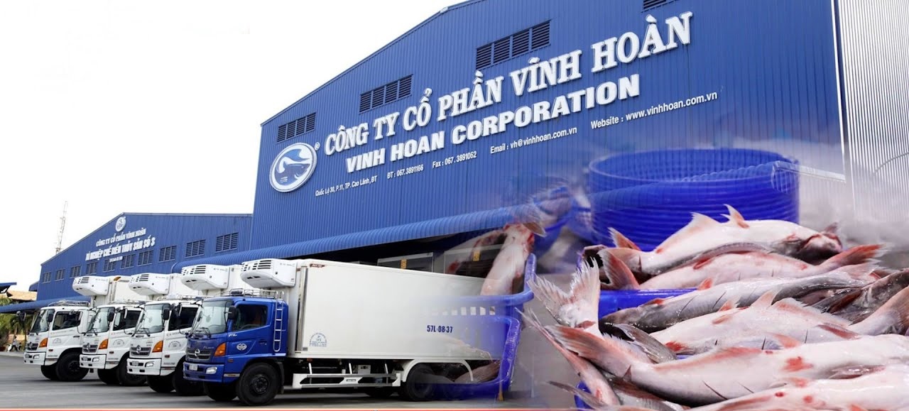 Doanh thu xuất khẩu sang Mỹ của Vĩnh Hoàn giảm sâu trong tháng 11/2025