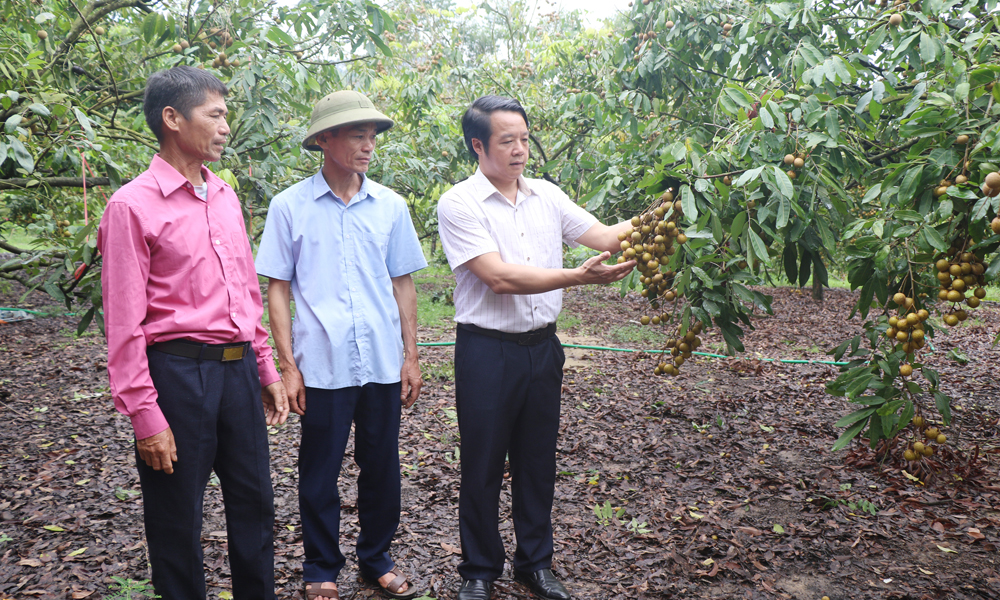 Bắc Ninh: Quy định hỗ trợ về phát triển nông nghiệp, ngành nghề nông thôn giai đoạn 2026-2030