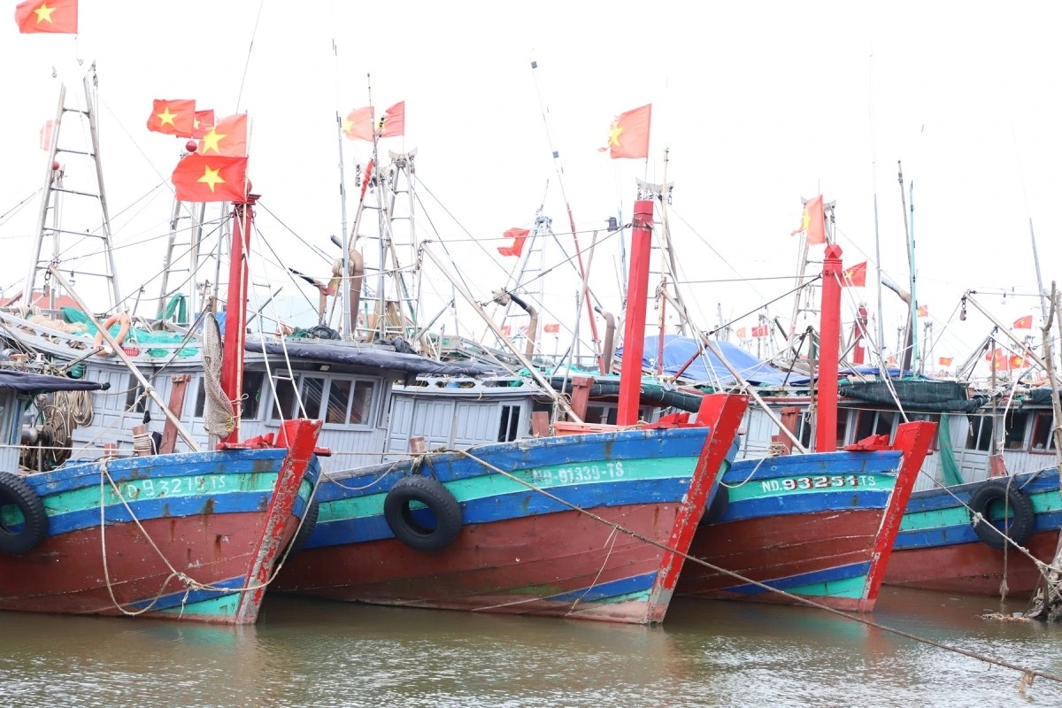 Ninh Bình quyết liệt triển khai chỉ đạo về chống khai thác IUU