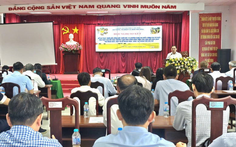 Cần Thơ quyết liệt triển khai Đề án 1 triệu ha lúa, hướng tới sản xuất xanh, phát thải thấp bền vững