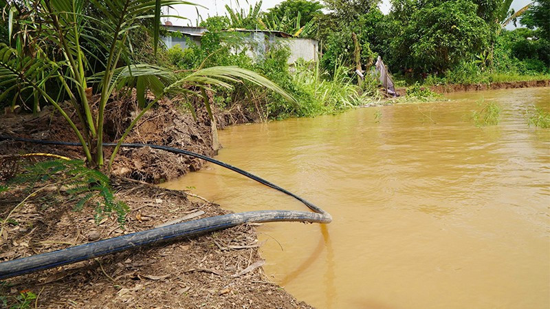 Đồng Tháp khắc phục khẩn cấp sạt lở tại ấp Tân Quới, xã Tân Long