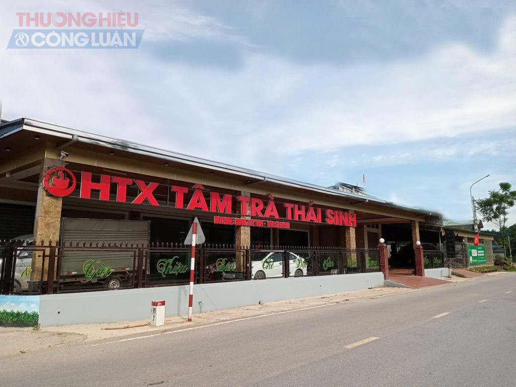 Kh&ocirc;ng gian thưởng th&aacute;c tr&agrave;