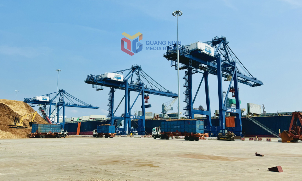 Động lực tăng trưởng từ kinh tế tư nhân ở Quảng Ninh