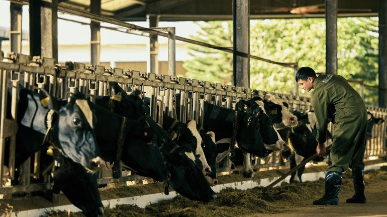 Mộc Ch&acirc;u Creamery l&agrave; kết tinh của điều kiện thi&ecirc;n nhi&ecirc;n ưu &aacute;i, t&acirc;m huyết l&agrave;m nghề v&agrave; t&igrave;nh y&ecirc;u gắn b&oacute; giữa b&ograve; v&agrave; người. Ảnh: Mộc Ch&acirc;u Creamery