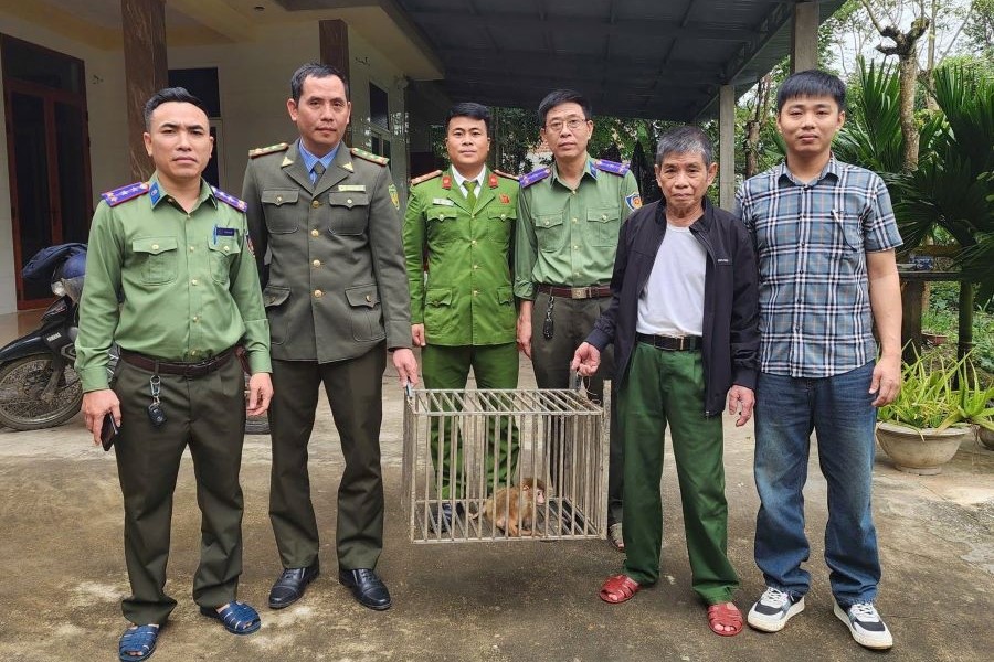 Lực lượng chức năng tiếp nhận c&aacute; thể khỉ v&agrave;ng qu&yacute; hiếm do gia đ&igrave;nh &ocirc;ng Hồ Minh Hiệu giao nộp.