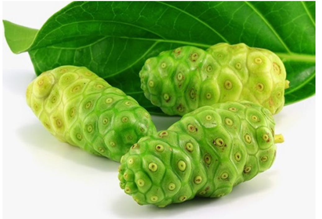 Cao Nh&agrave;u gi&uacute;p giảm t&igrave;nh trạng ngứa do mề đay, dị ứng