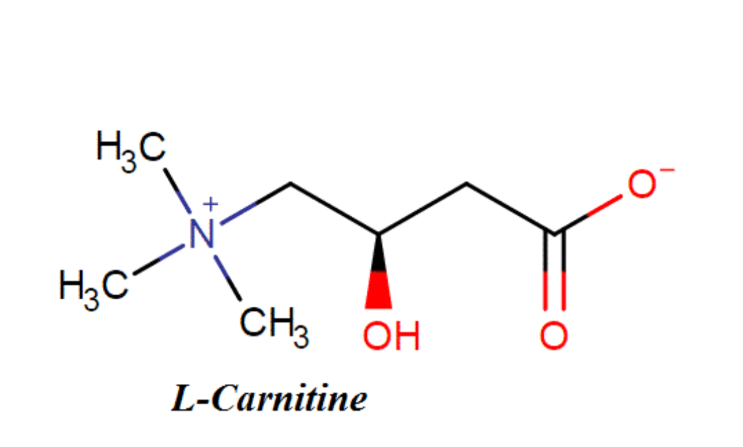 L- Carnitine fumarate gi&uacute;p t&aacute;i tạo da, ngăn mề đay, dị ứng t&aacute;i ph&aacute;t