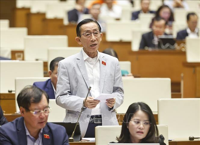 Đại biểu Quốc hội TP Hồ Ch&iacute; Minh Trần Ho&agrave;ng Ng&acirc;n. Ảnh: Do&atilde;n Tấn/ TTXVN