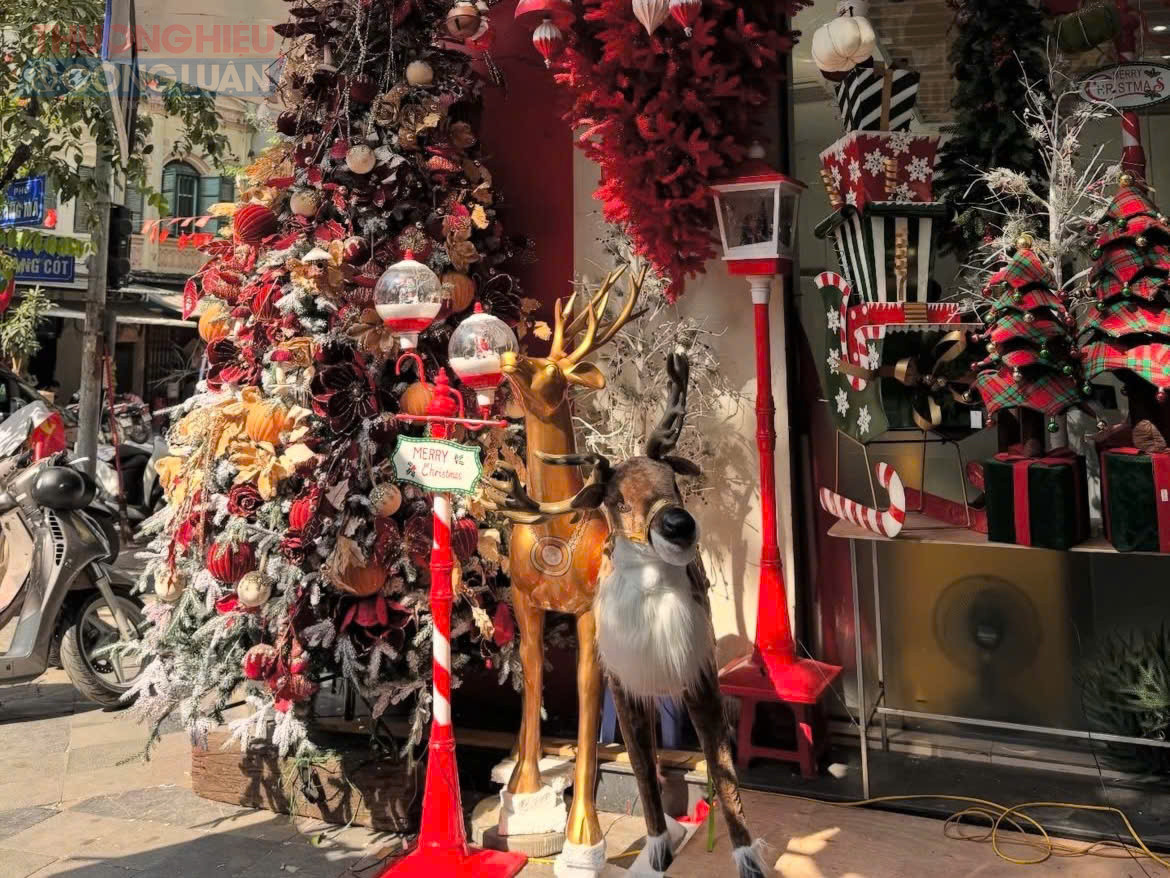 Chẳng hạn, những m&oacute;n nhỏ như d&acirc;y đ&egrave;n, phụ kiện treo c&acirc;y th&ocirc;ng chỉ từ v&agrave;i chục ngh&igrave;n đồng; v&ograve;ng nguyệt quế c&oacute; gi&aacute; dao động từ khoảng 100.000 đến 500.000 đồng/c&aacute;i ph&ugrave; hợp trang tr&iacute; cửa ra v&agrave;o, b&agrave;n l&agrave;m việc hoặc kh&ocirc;ng gian nhỏ n&ecirc;n được nhiều kh&aacute;ch hỏi mua. Đối với c&aacute;c sản phẩm trang tr&iacute; kh&ocirc;ng gian lớn như mẫu tuần lộc trang tr&iacute; Gi&aacute;ng sinh c&oacute; gi&aacute; từ 2 đến 5 triệu đồng/con, chủ yếu phục trung t&acirc;m thương mại, kh&aacute;ch sạn hoặc sảnh lớn ở c&aacute;c to&agrave;n nh&agrave;...