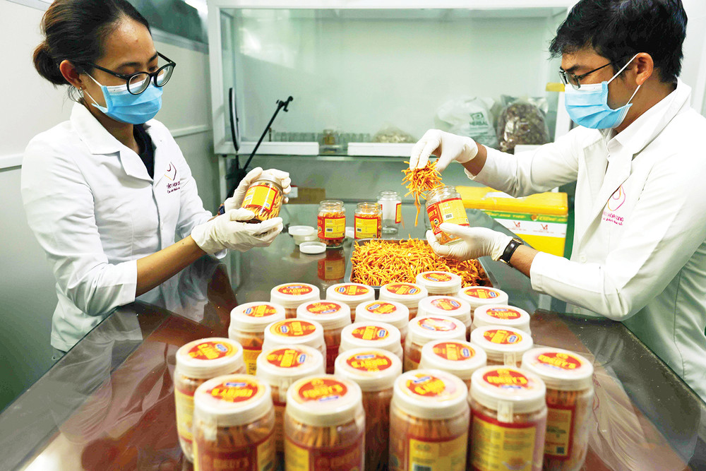 Nấm Hòa Long - Mô hình nông nghiệp công nghệ cao