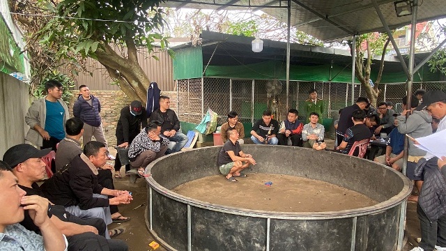 Nghệ An: Triệt phá sới đá gà ăn tiền, bắt giữ 28 đối tượng