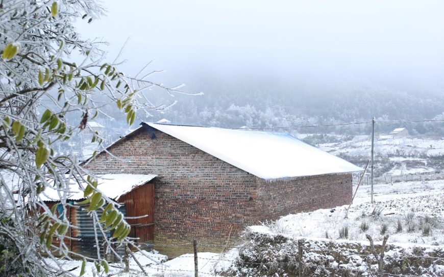 Không khí lạnh tăng cường, miền Bắc rét đậm rét hại, vùng núi có thể xuất hiện băng giá