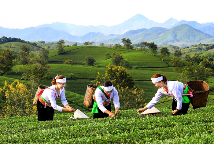 Phú Thọ: OCOP - động lực tạo sinh kế bền vững cho nông thôn