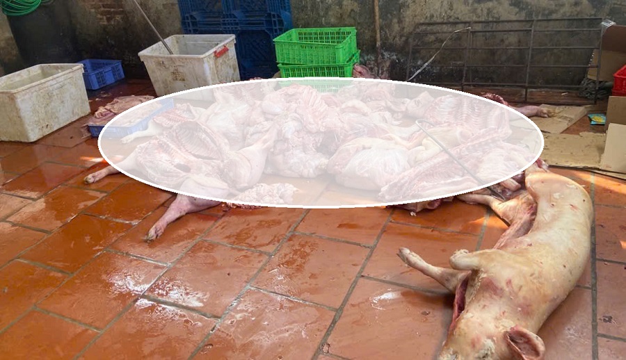 Hiện trường mổ thịt lợn kh&ocirc;ng đảm bảo an to&agrave;n thực phẩm