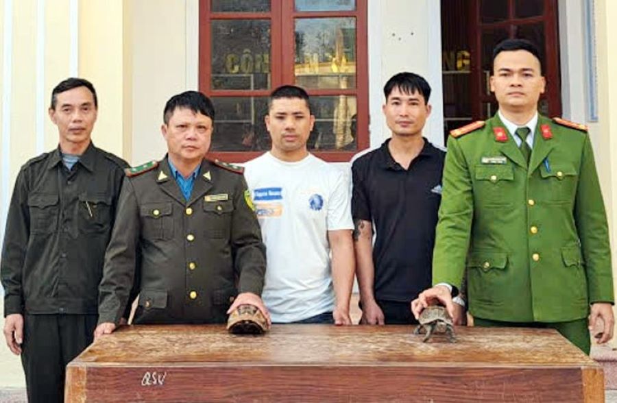 Hà Tĩnh: Tiếp nhận 2 cá thể rùa quý hiếm để thả về môi trường tự nhiên