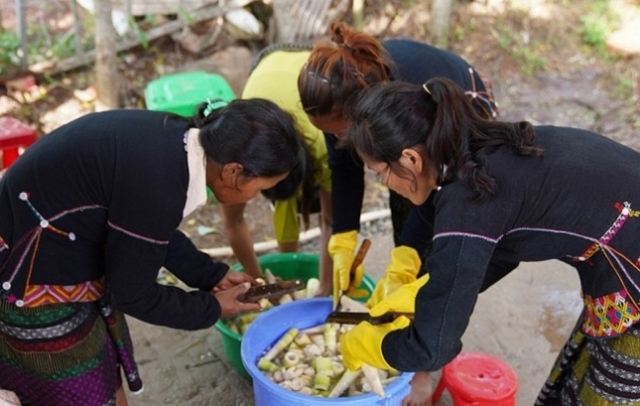 M&ocirc; h&igrave;nh trồng tre lấy măng d&agrave;nh cho phụ nữ d&acirc;n tộc V&acirc;n Kiều đang tạo c&ocirc;ng ăn việc l&agrave;m, sinh kế cho người d&acirc;n nơi đ&acirc;y.